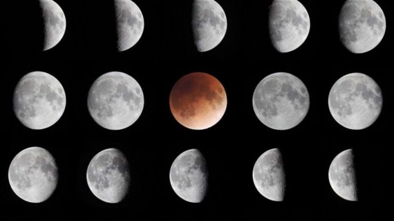 que lua estamos hoje