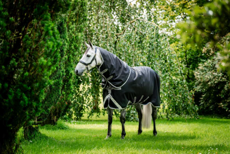 Pferdedecken online